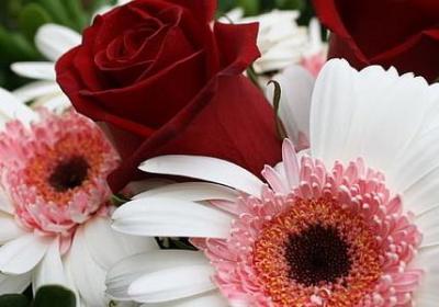 百战百胜的词语(优选80句)