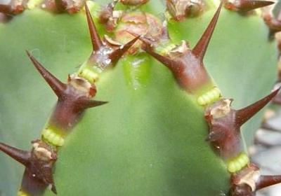 祝福的词语2字(精选61句)