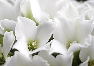 科学的科的词语(热门60句)