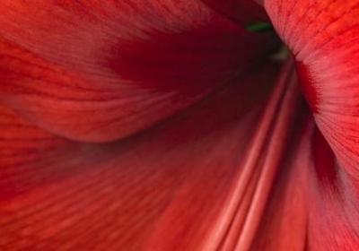 神话的四字词语(共50句)