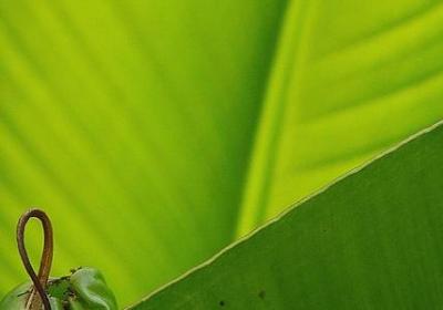 秋天相关的词语(汇总80句)