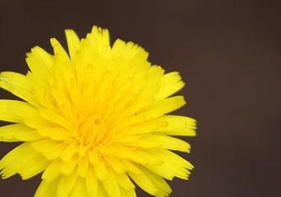 瞧表示看的词语(合集50句)