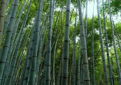 粗心相近的词语(热门70句)