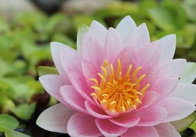 第组词有哪些词语(通用20句)