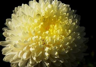 肯组词有哪些词语(热门61句)