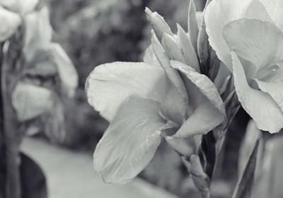 背可以组什么词语(合集40句)