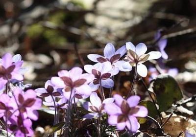 类似静悄悄的词语(精选50句)