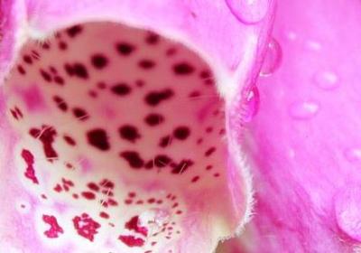 表示变化的词语(热门50句)