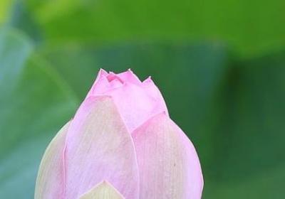 表示温馨的词语(通用61句)