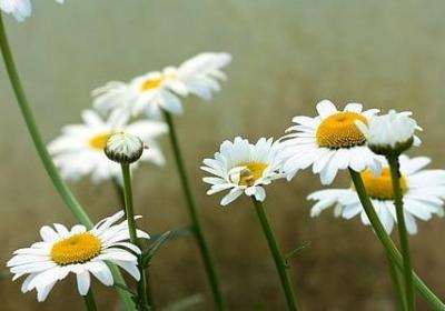 蚯组词有哪些词语(热门27句)