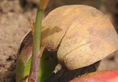 衡的四字词语(共71句)