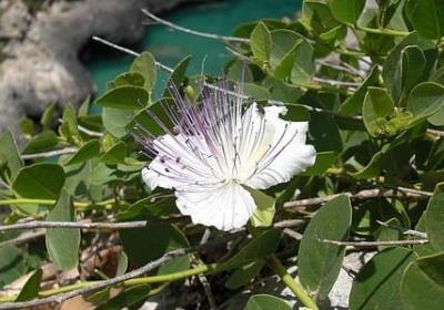 表示看不起他人的词语(精选50句)