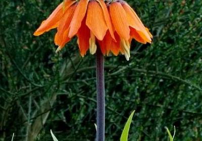 表示看的词语两个字(热门70句)