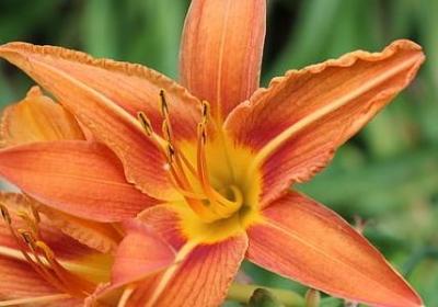 补充结构的词语(合集50句)