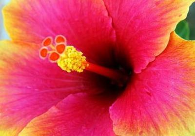 赞美四字词语(共70句)