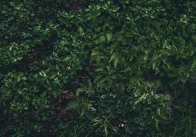 词语的含义及褒贬色彩(精选40句)