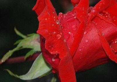 表达颜值高的网络词语(热门50句)