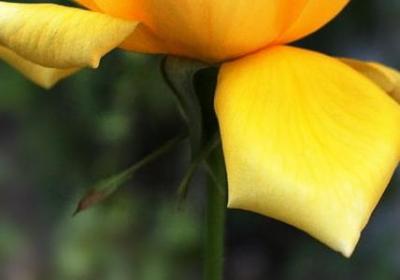 赞美景物的词语(优选70句)