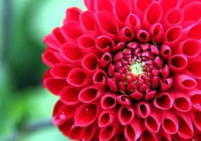 语文七年级上册词语(60句)