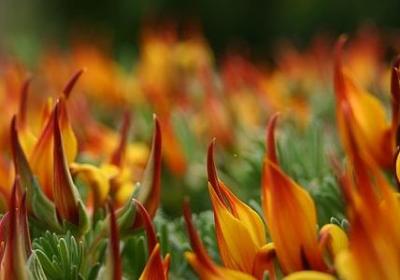 调换偏旁组词语(优选10句)