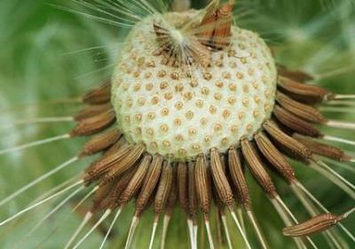 询可以组什么词语(汇总8句)