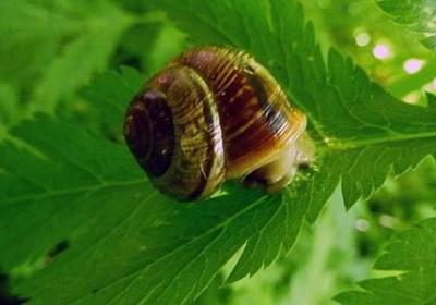 春天名人名言(共80句)