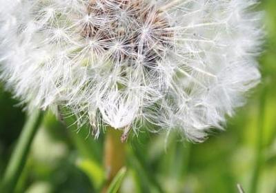 赞美短发的词语(通用40句)