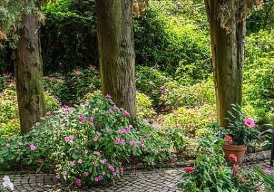 金黄色的词语(汇总80句)