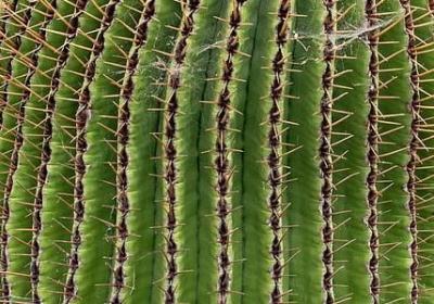 难以忘记的词语(热门60句)