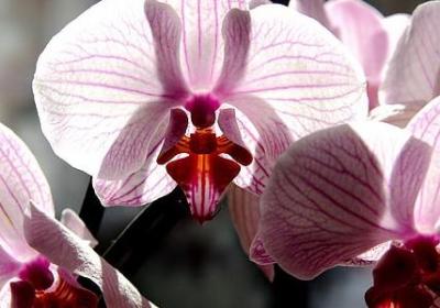 迟可以组什么词语(实用50句)