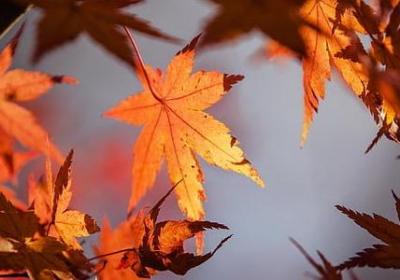 有关理性的名言(优选80句) 有关理性的名言(优选80句)