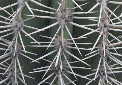 量组词有哪些词语(通用41句)