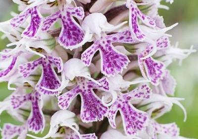 钱字组词有哪些词语(汇总40句)