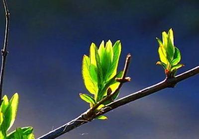 热爱学习的名言(通用60句)