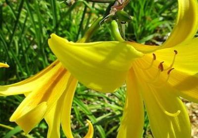 路词语(精选50句) 路词语(精选50句)