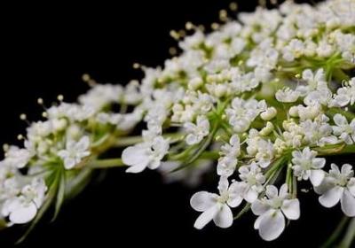 赞美鞋的词语(10句) 赞美鞋的词语(10句)