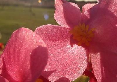 梁启超的名言(合集15句)