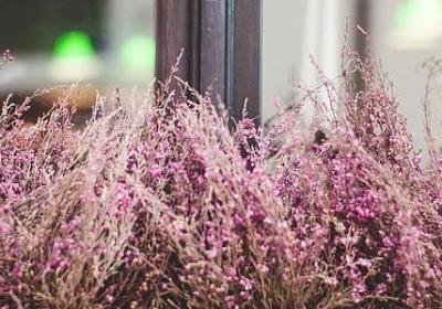 生死观的名言(通用60句)