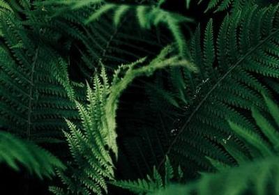 白居易的名言(实用20句)