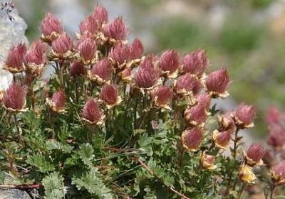 游戏中的名言(实用60句)