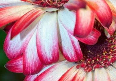 珍惜时间的名言有哪些(实用71句)