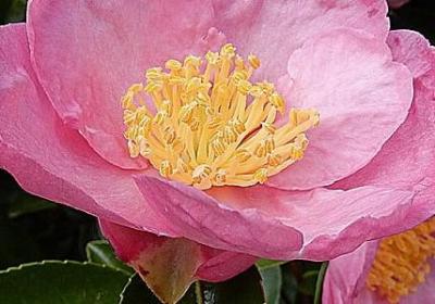 生活的名言警句(共59句)