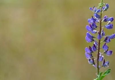 相信自己名人名言(通用80句)