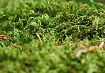 王阳明 名言(必备80句)