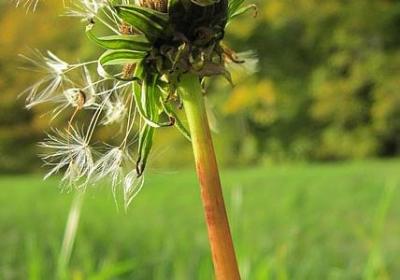 爱劳动的名言(热门50句)