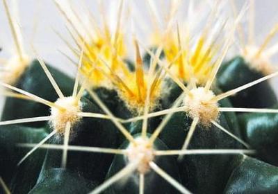 热爱生命的名人名言(热门50句)