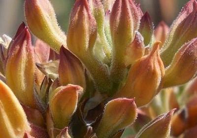 理想信念的名言(合集40句)