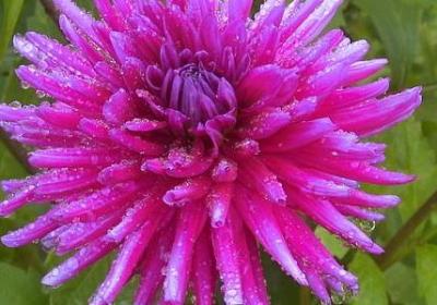 泰戈尔的名言(热门80句)