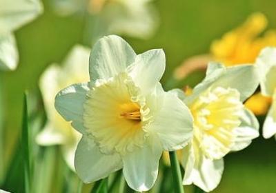 数学名言手抄报(汇总40句) 数学名言手抄报(汇总40句)