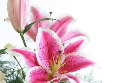 爱的名言警句(共50句)